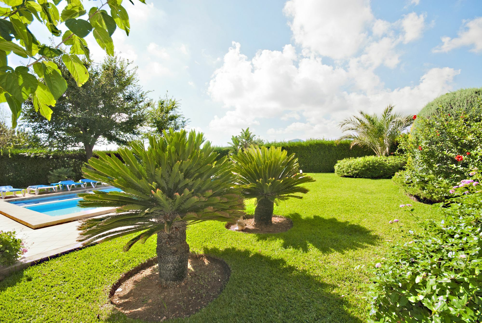 Villa Rosaleda Port de Pollença